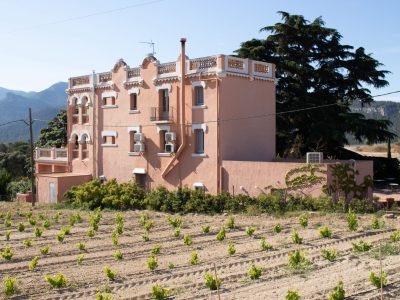 2019 Monstat - Dosterras Winery in Spain